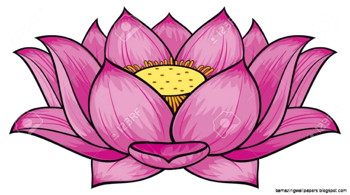 Purple Lotus Flower